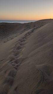 GC-Dunas de Maspalomas sunset 2026-156.jpg